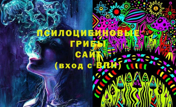 амф Алексин
