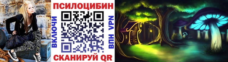 Галлюциногенные грибы Psilocybe гидра ссылка Хотьково